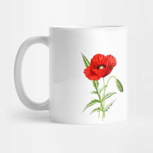 Red Poppy Mug